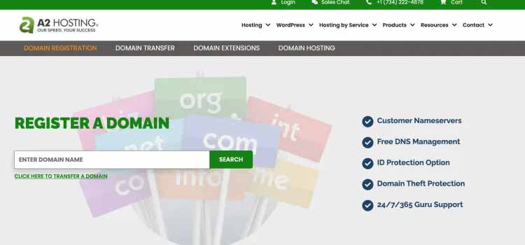 A2 Web Hosting Review